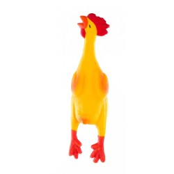 Poulet en Latex