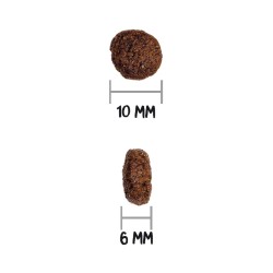 Prime Mini Dinde 3 kg