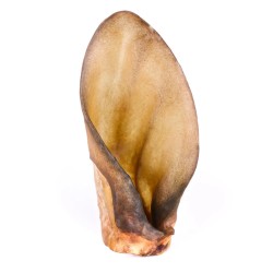 Oreilles de Boeuf Entières