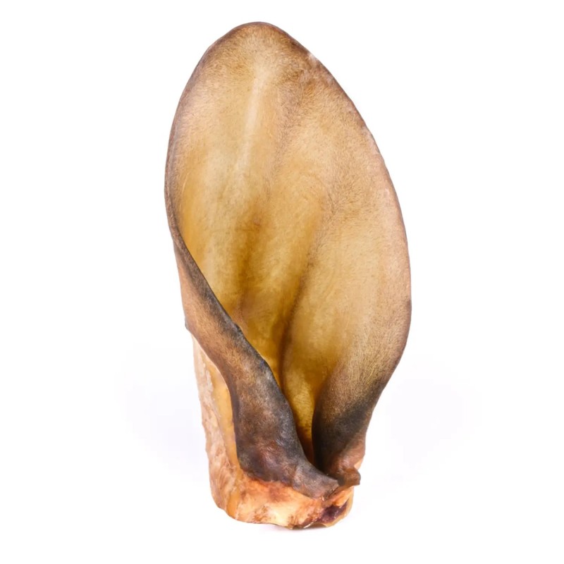 Oreilles de Boeuf Entières