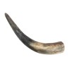 Corne de Vache