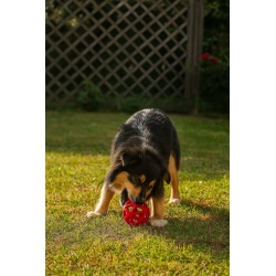 Balle en caoutchouc