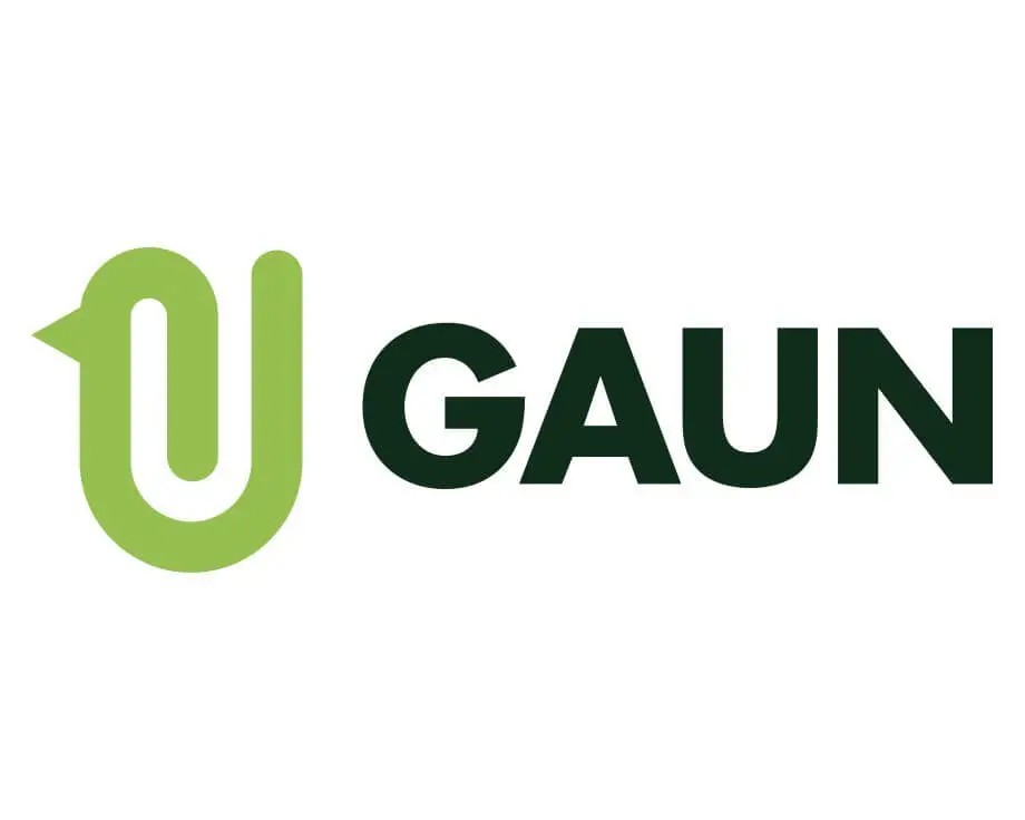 Gaun